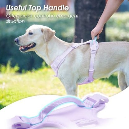 Sunraymascota No Pull Dog Harness - Image 4