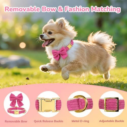 Small Dog Collar Harness and Leash Set - Image 4