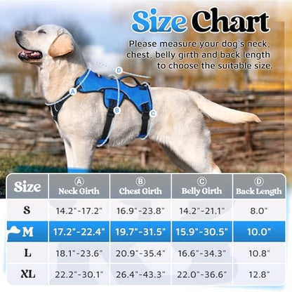 rabbitgoo Escape Proof Dog Harness - Image 2