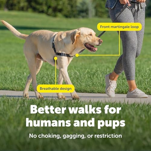 PetSafe Easy Walk Harness, No Pull Dog Harness - Image 5