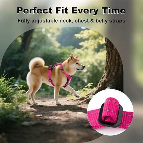 Plutus Pet No Pull Dog Harness - Image 5