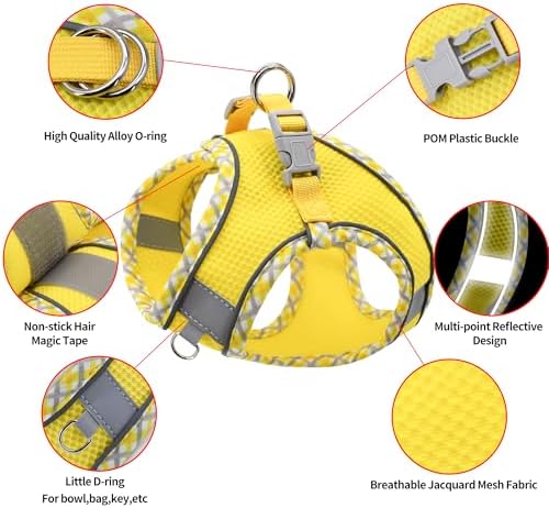 AIITLE Step in Dog Harness & Leash Set - Image 3