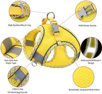 AIITLE Step in Dog Harness & Leash Set - Image 3