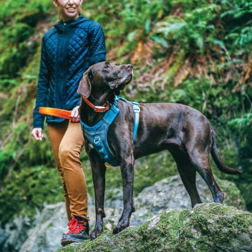Kurgo Journey Air Dog Harness - Image 5