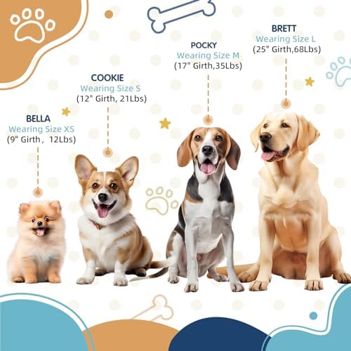 Blue Orange Tri-Color Small Dog Harness, Step-in Design - Image 3