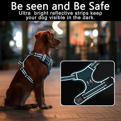 Timos Dog Harness, No Pull Large Sized - Image 3