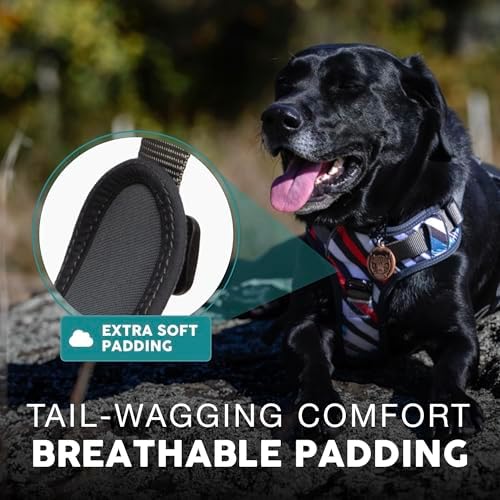Embark No Pull Dog Harness, Reflective Adjustable Training Vest, No Choke - Image 4