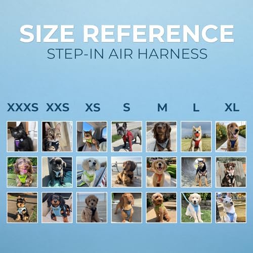Voyager Step-in Air Dog Vest Harness - Image 6