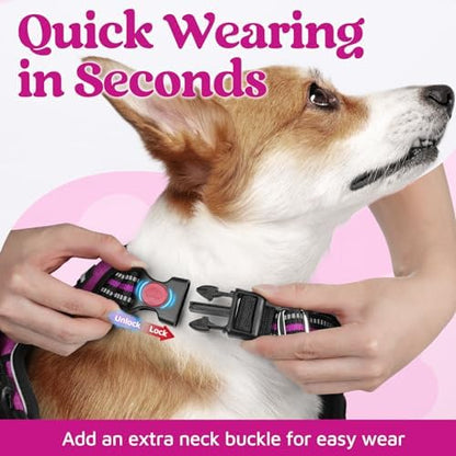 rabbitgoo Dog Harness Small Sized, No Pull 3 Buckles Easy On & Off - Image 2
