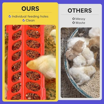 Pawaboo Chick Brooder Box for Chick Starter Kit - Image 4