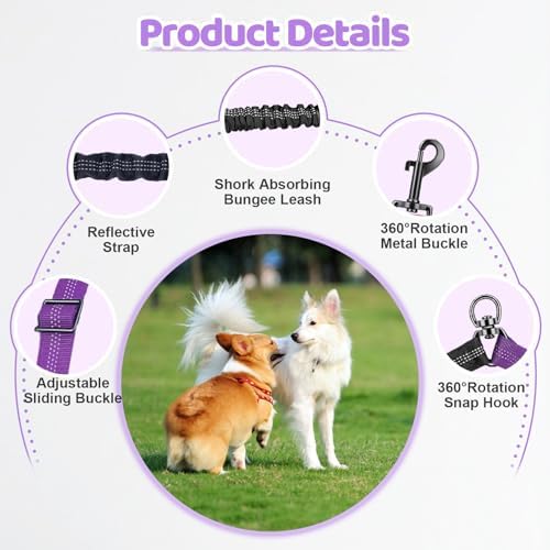 Double Dog Leash - Image 3