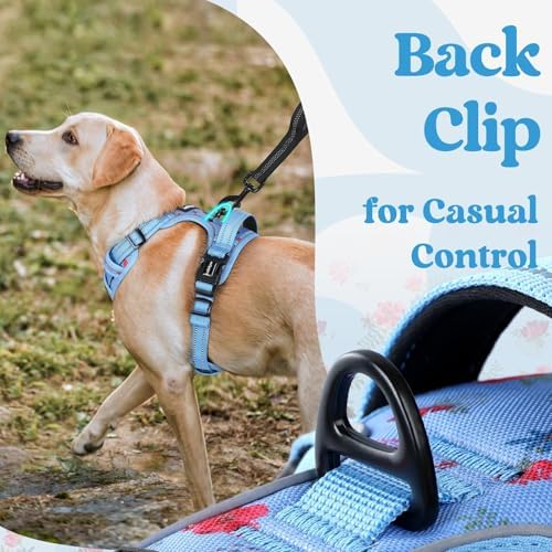 rabbitgoo Dog Harness Small Sized, Updated Easy On & Off - Image 6
