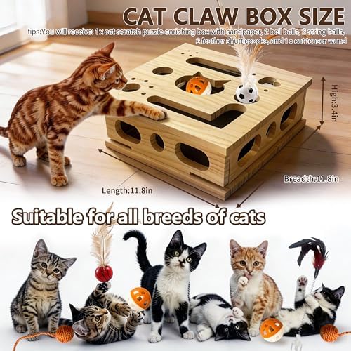 2026 New Model Cat Nail File Enrichment Box - Image 3