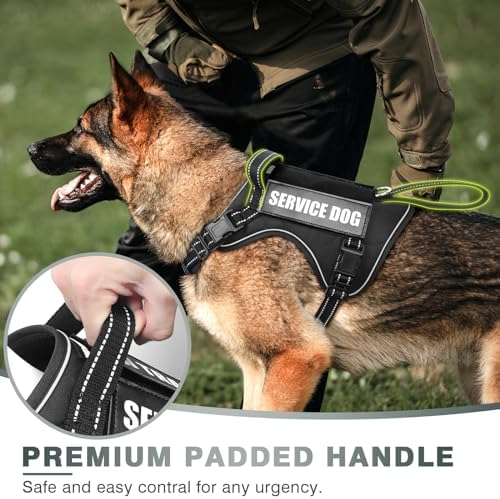 WINSEE Tactical Dog Harness, No Pull Dog Harness - Image 3