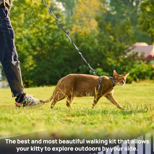 PetThem Adjustable Cat Harness and Leash Set Escape Proof - Image 2