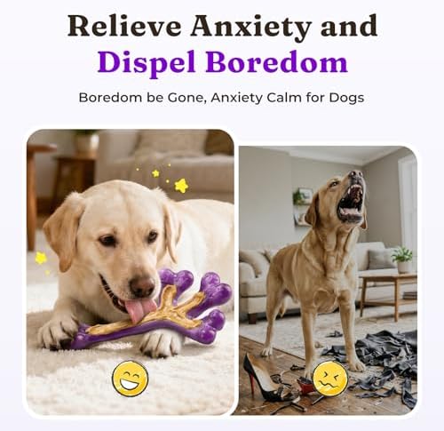 Frienhund 2-Pack Tough Dog Chew Toys - Image 5