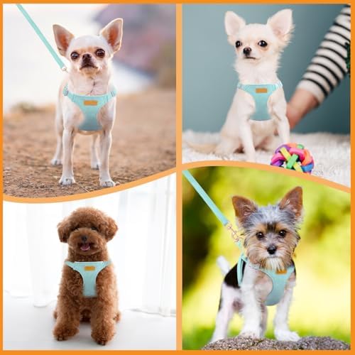 SlowTon No Pull Dog Harness - Image 7