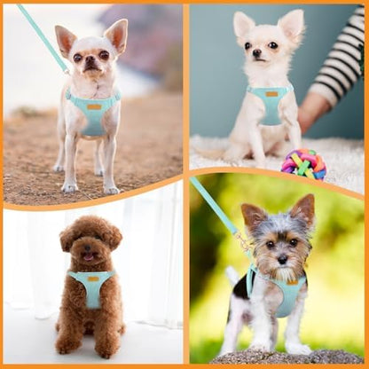 SlowTon No Pull Dog Harness - Image 7