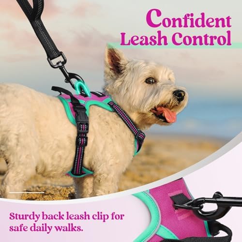 rabbitgoo Dog Harness, No Pull for Small Dogs - Image 6