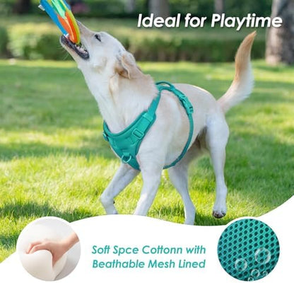 Sunraymascota No Pull Dog Harness - Image 2