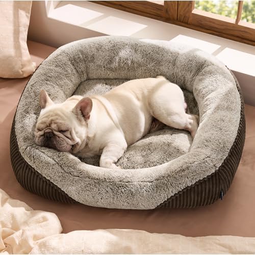 Bedsure Washable Dog Bed Medium Size Dog Rectangle Big Pet Bed by BEDSURE