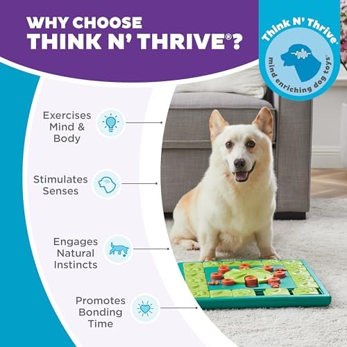 Outward Hound Nina Ottosson MultiPuzzle Dog Toy Treat Puzzle - Image 6