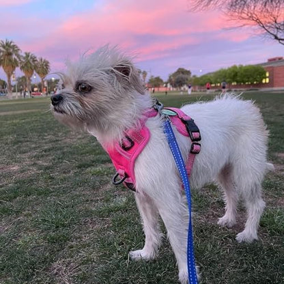 PoyPet No Pull Dog Harness, Reflective Vest - Image 6