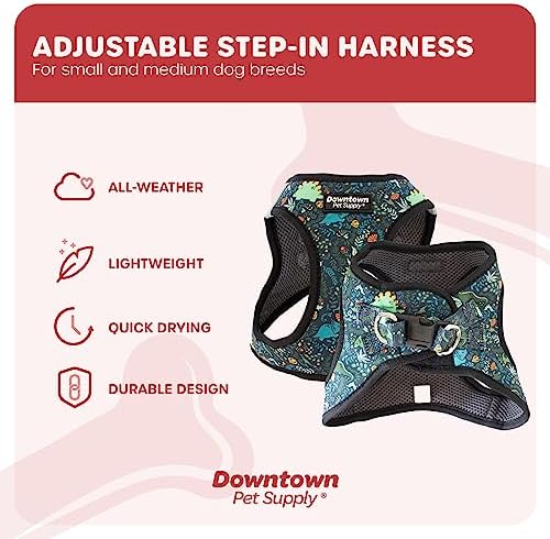 Downtown Pet Supply Step-in Dog Harness – No Pull, Adjustable Padded Mesh - Image 3