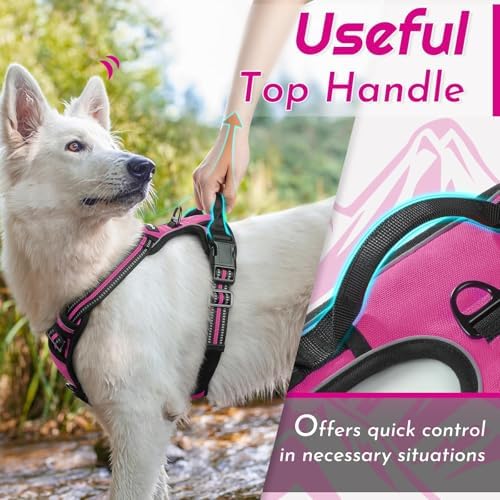 Eagloo Dog Harness for Small Dogs, No Pull Pet Vest - Image 5