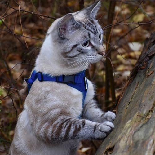 Voyager Step-in Lock Cat Harness & Leash Set - Image 5
