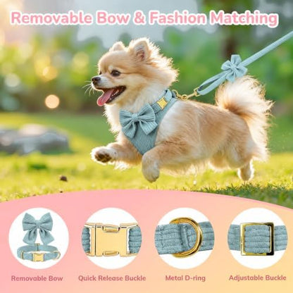 Small Dog Collar Harness and Leash Set - Image 4