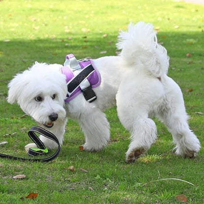 Bolux Dog Harness, No-Pull Reflective Dog Vest, Breathable Adjustable Pet - Image 6