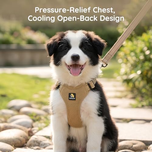 BELLA & PAL Adjustable Step-in Dog Harness, Puppy No-Pull Vest - Image 6