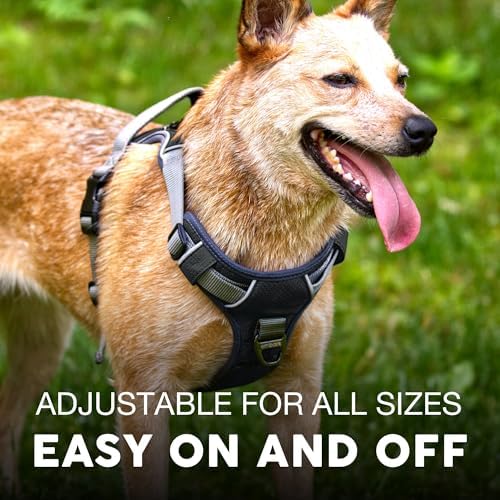 Embark No Pull Dog Harness, Reflective Adjustable Training Vest, No Choke - Image 4