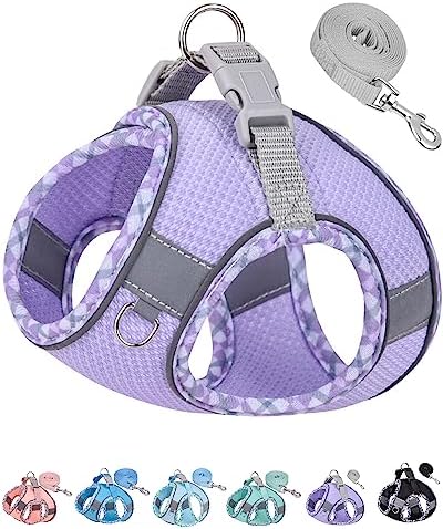 Petank Step in Dog Harness No Pull and Leash by PetankCareforEveryPaw