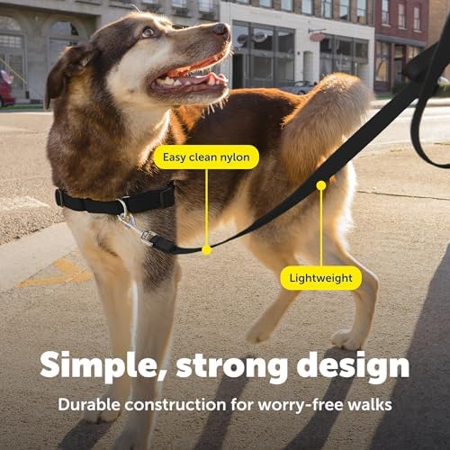 PetSafe Nylon Dog Leash - Image 4