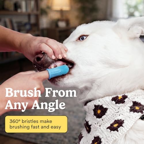 Jasper Dog Toothbrush, 360° Finger Toothbrush - Image 2