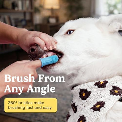 Jasper Dog Toothbrush, 360° Finger Toothbrush - Image 2