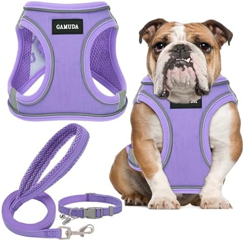GAMUDA Small Pet Harness Collar and Leash Set, Step in No Chock No Pull Linen by GAMUDACollarsCollection