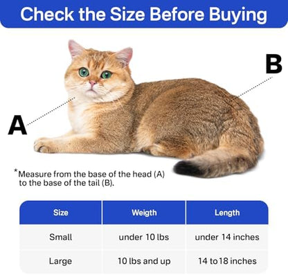 Cat Carrier Pouch for Medium Cats 10–20 lbs, Soft Cat Carrier - Image 2