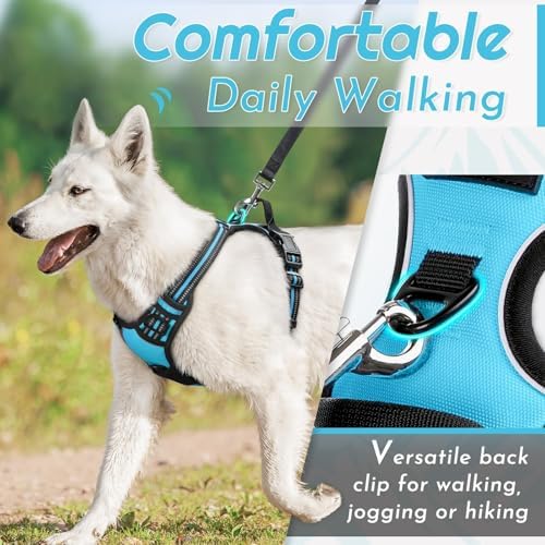 Eagloo Dog Harness for Small Dogs, No Pull Pet Vest - Image 4
