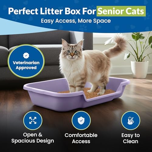 KittyGoHere Senior Cat Litter Box, Large - Image 2