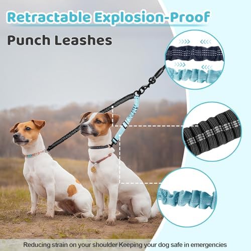 Double Dog Leash - Image 5