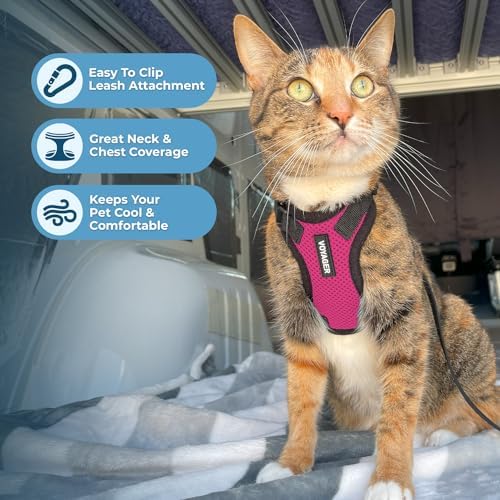 Voyager Step-in Lock Cat Harness & Leash Set - Image 5