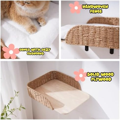 SHENGOCASE 2-Pack Wall Mounted Cat Bed Perch - Image 5