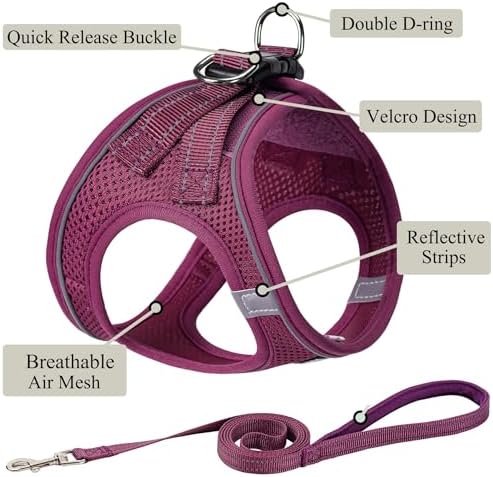 Dog Harness with Leash Set, Step-in Adjustable Puppy Pet Vest, Cranberry M - Image 2