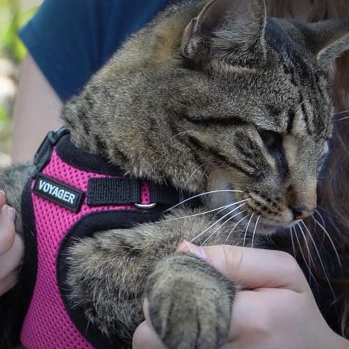 Voyager Step-in Lock Cat Harness & Leash Set - Image 6