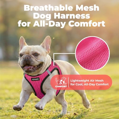Voyager Step-in Air Dog Vest Harness - Image 5