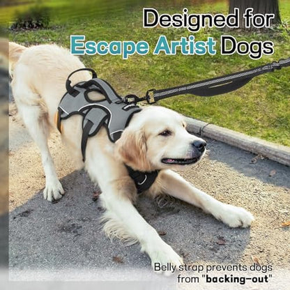 rabbitgoo Escape Proof Dog Harness - Image 2