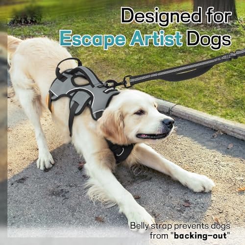 rabbitgoo Escape Proof Dog Harness - Image 2